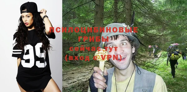 гашик Гусев