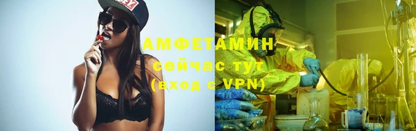 трава Гусиноозёрск