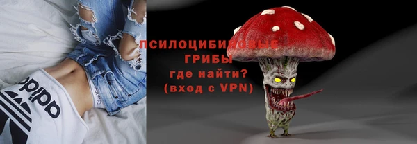 трава Гусиноозёрск
