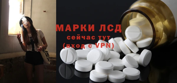гашик Гусев