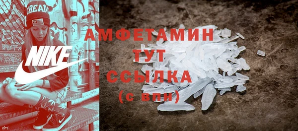 гашик Гусев