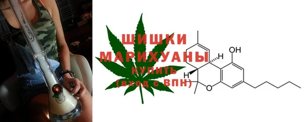 гашик Гусев