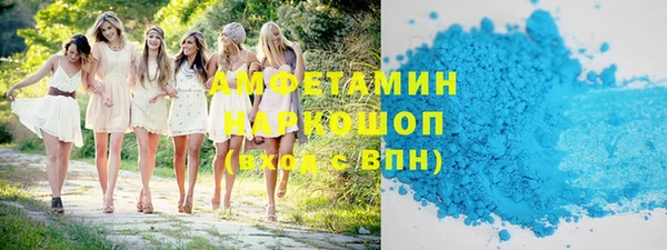 гашик Гусев