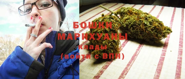 гашик Гусев