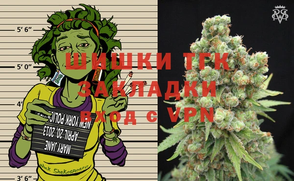 гашик Гусев
