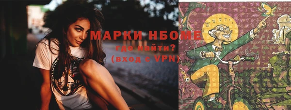 трава Гусиноозёрск