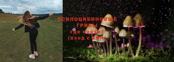 синтетический гашиш Гусь-Хрустальный