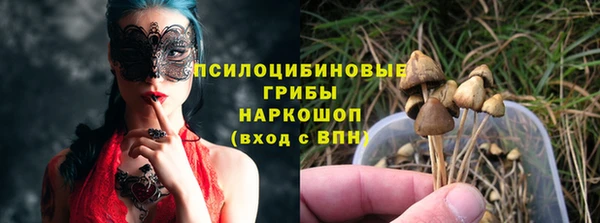 гашик Гусев