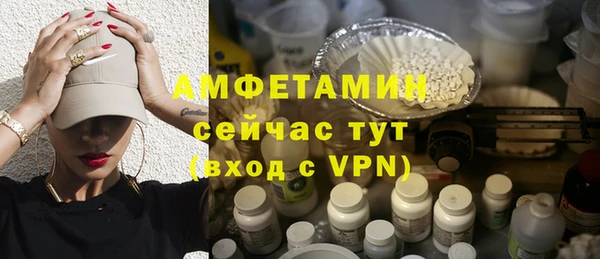 трава Гусиноозёрск