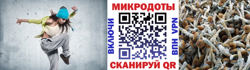 Галлюциногенные грибы Magic Shrooms  даркнет сайт  Тула 